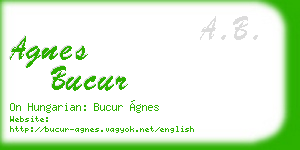 agnes bucur business card